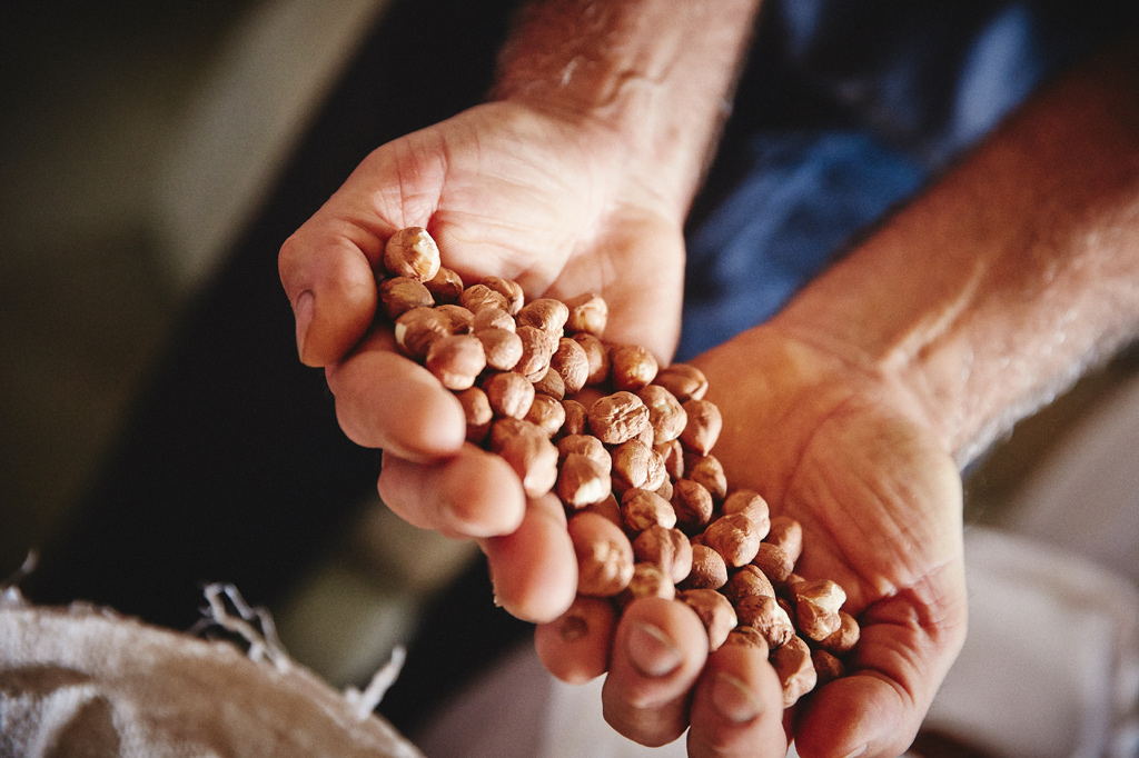 De lekkerste hazelnoten komen uit Piemonte